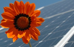 Heizungen die wie Solarzellen als erneuerbare Energien gesehen werden gelten als Umweltfreundlich